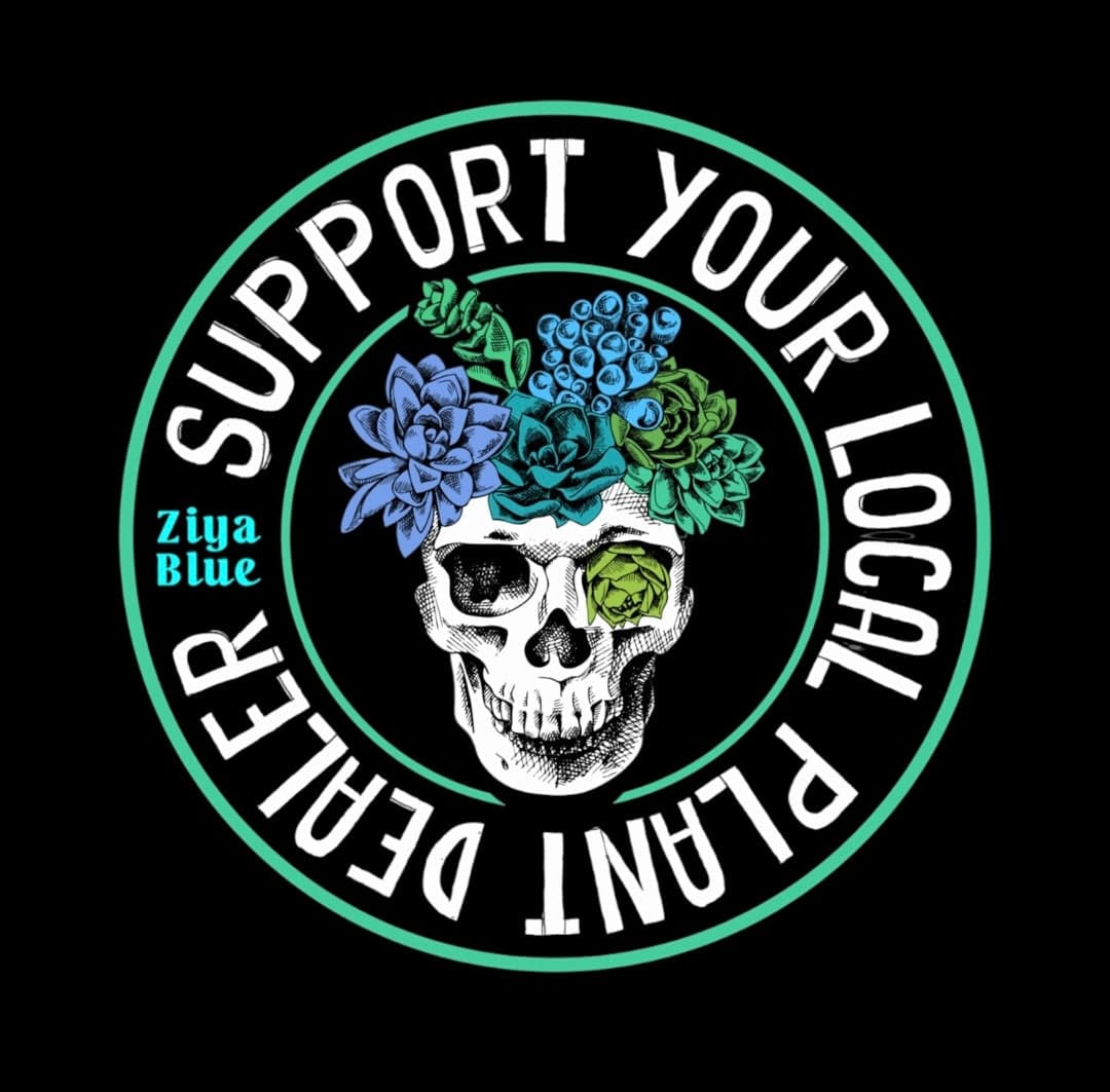 Ziya Blue | Witty Novelty Gifts, Home Decor & Jellycat