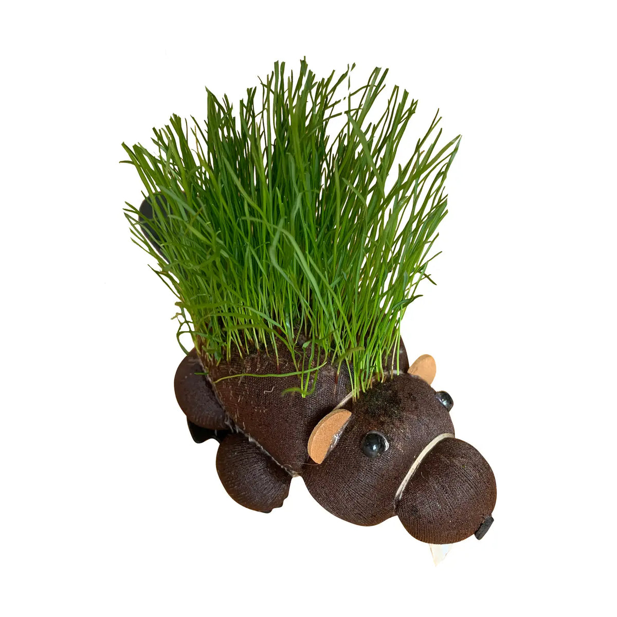 Grow Hairy Beaver