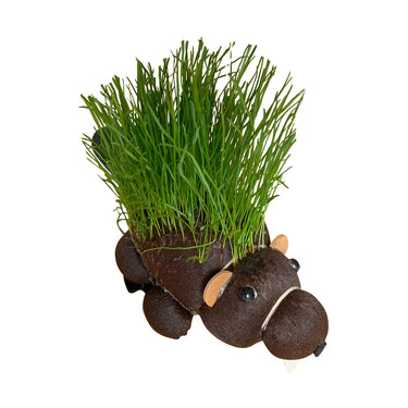 Grow Hairy Beaver