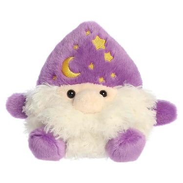 PPALS-Ezerick Wizard