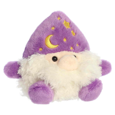 PPALS-Ezerick Wizard