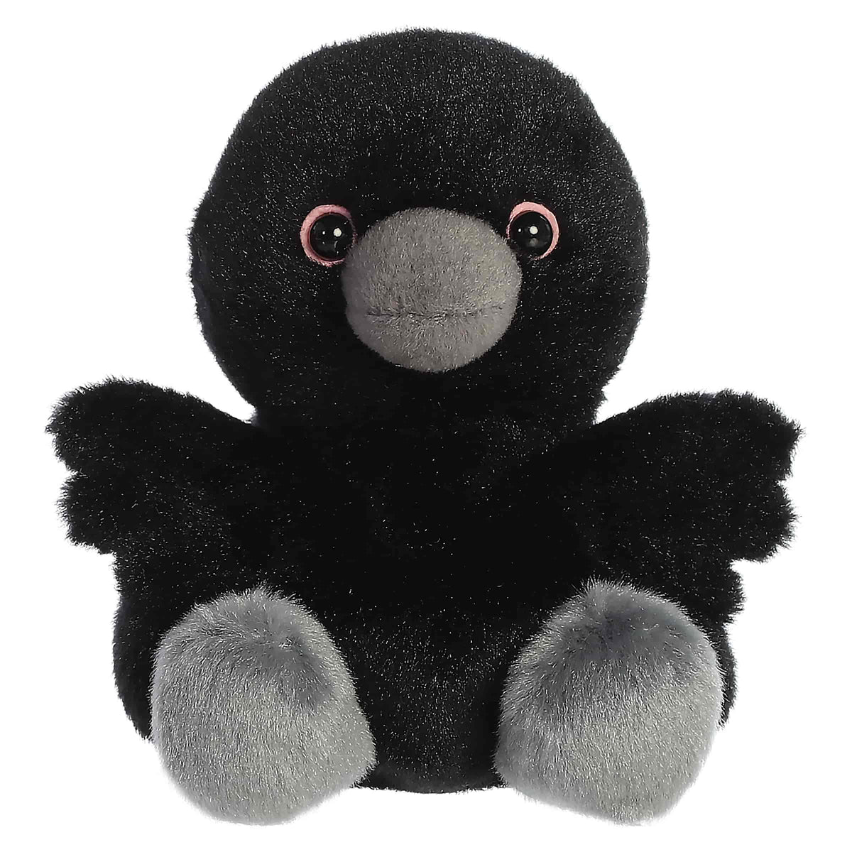 PPALS-Poe Raven
