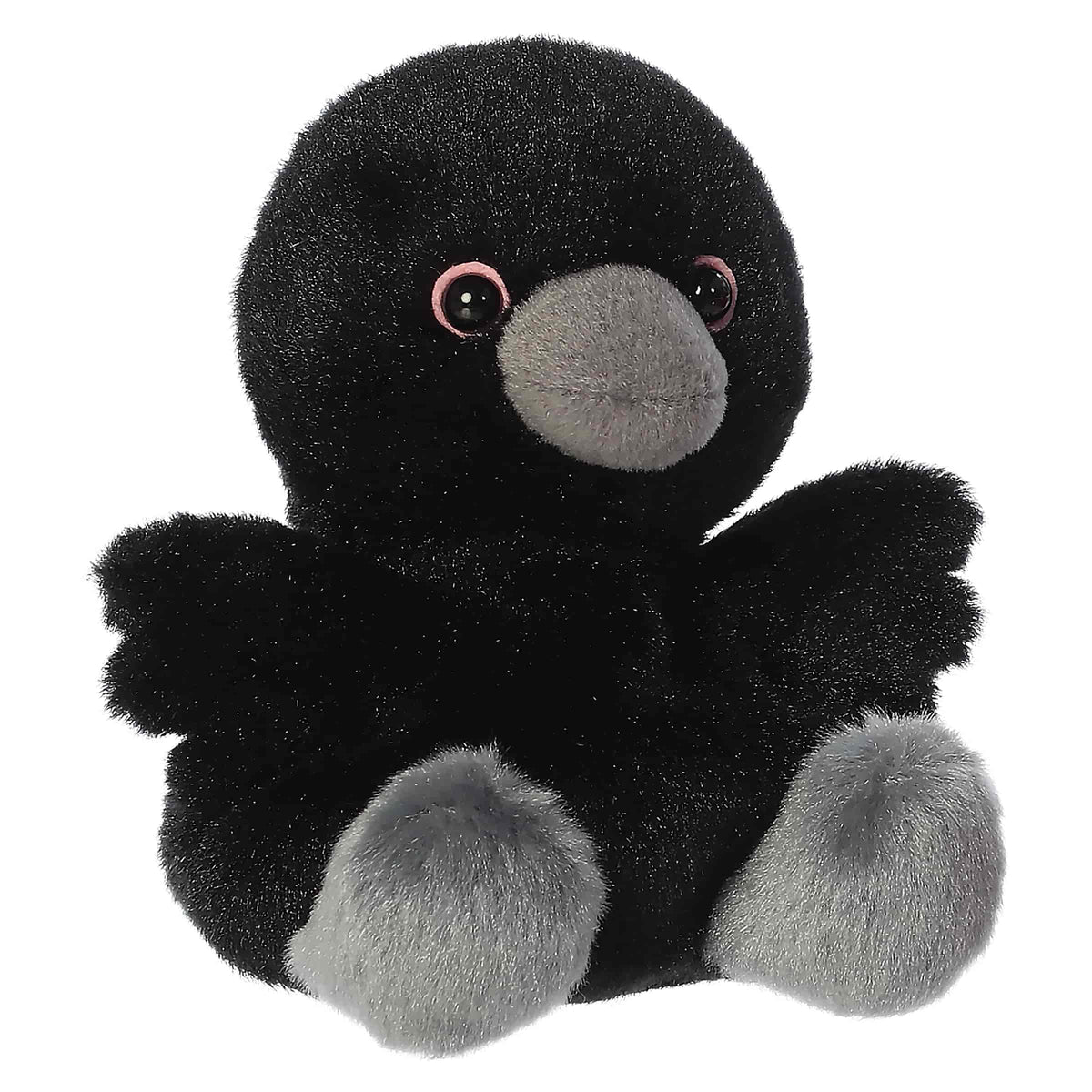 PPALS-Poe Raven