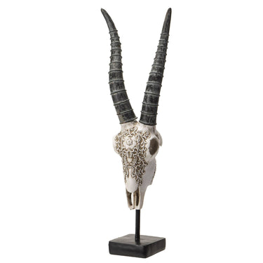 Carved African Gemsbok Decorative Skull