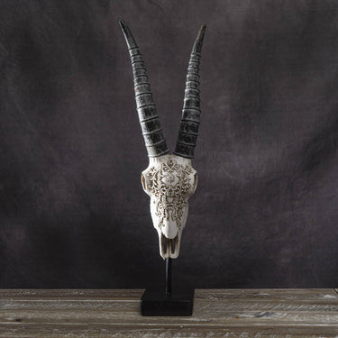 Carved African Gemsbok Decorative Skull