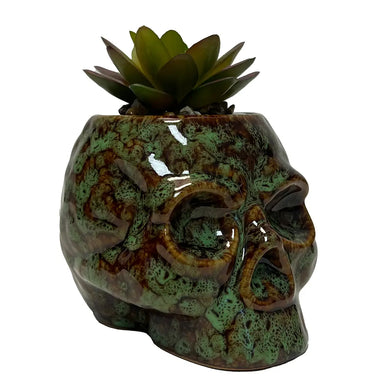 Skull Planter & Storage