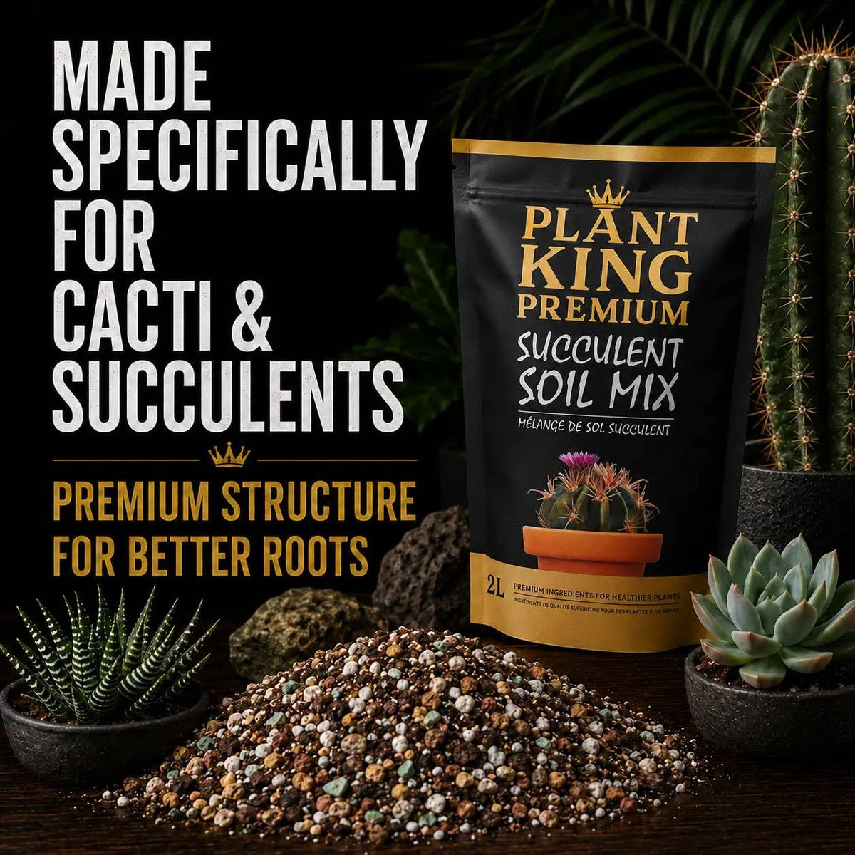 Premium Cactus & Succulent Potting Soil Mix | 2L