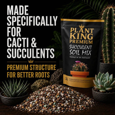 Premium Cactus & Succulent Potting Soil Mix | 2L