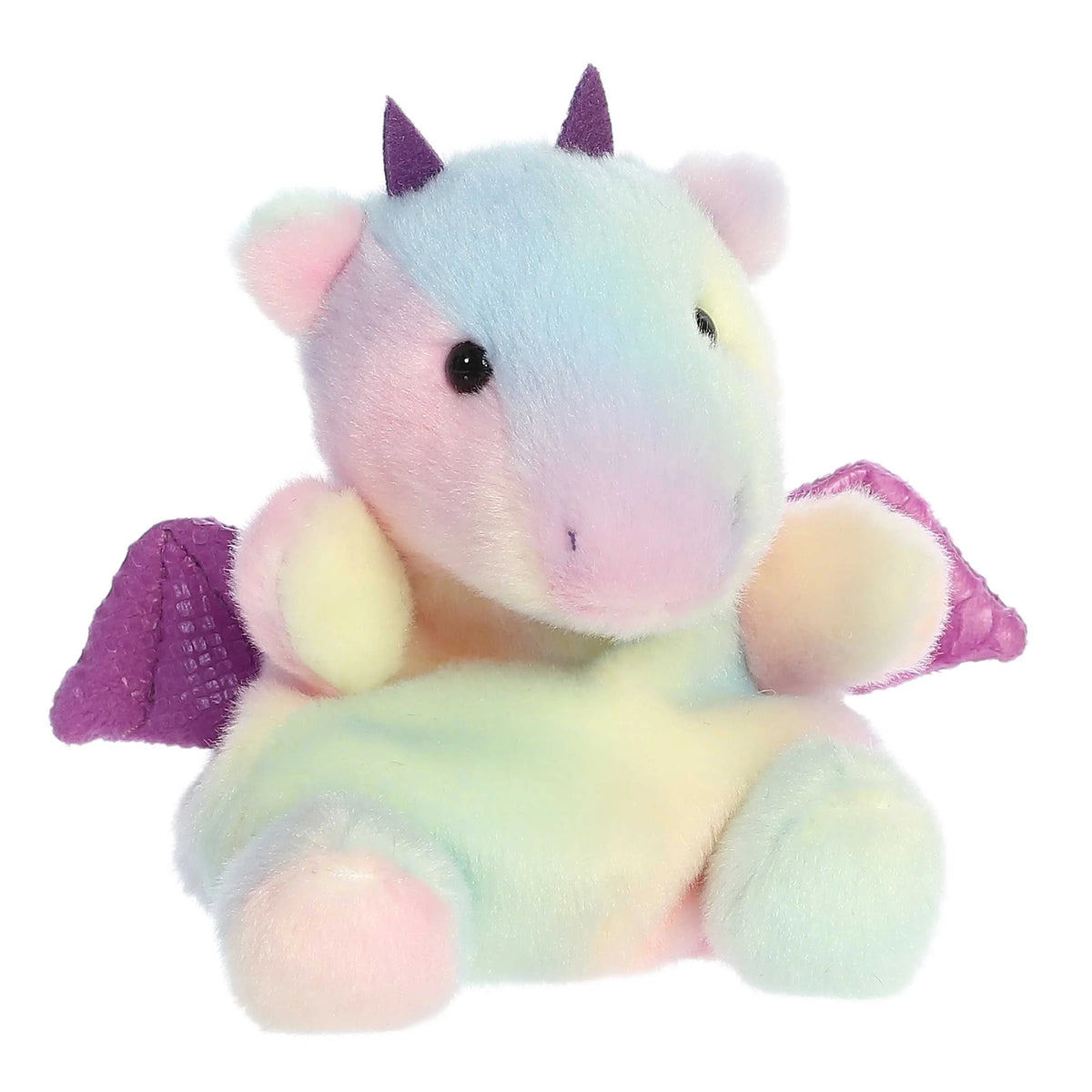 PPALS-Aster Dragon