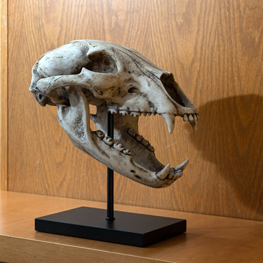 Black Bear Skull Figurine on Base | Faux Taxidermy Decor