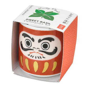 Lucky Daruma Doll Planter W/Sweet Basil