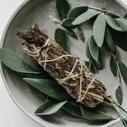 4" Salvia Mellifera Black Sage Smudge Stick Faire Ziya Blue
