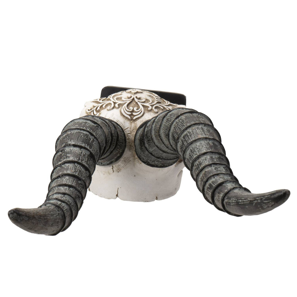 Carved African Gemsbok Decorative Skull