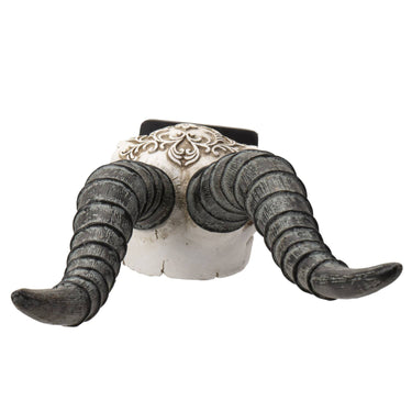 Carved African Gemsbok Decorative Skull
