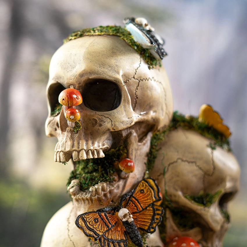 Decorative Skull with Dead Moths: A Stunning Cabinet of Curiosities Statement Piece