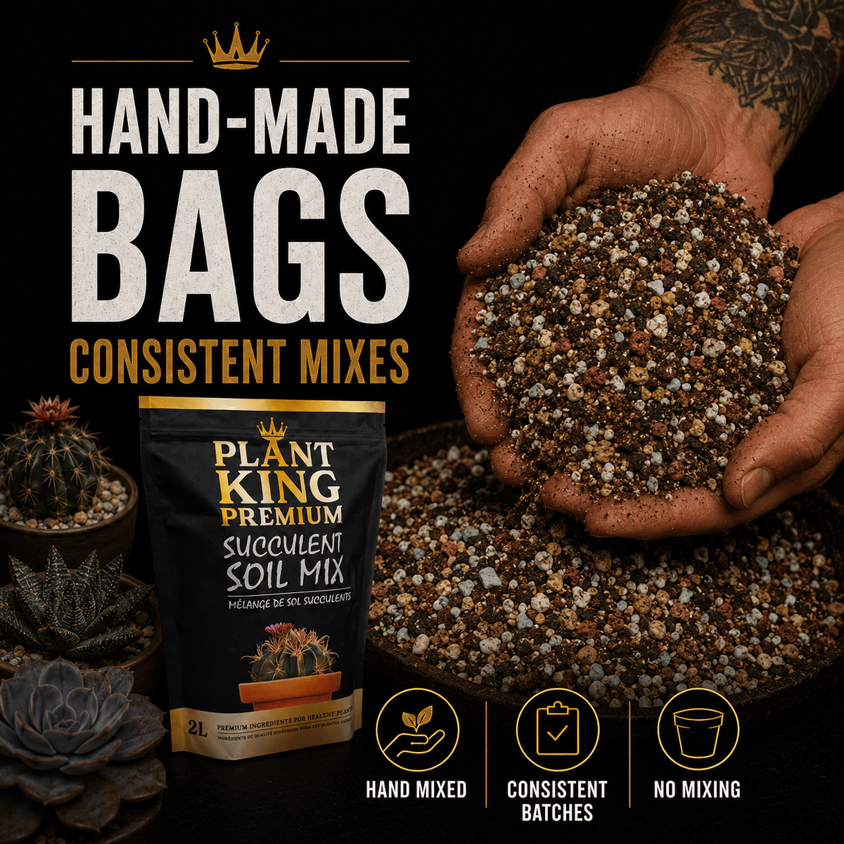 Premium Cactus & Succulent Potting Soil Mix | 2L