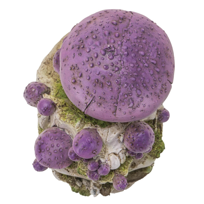 Skull with Purple Mushrooms (Small): Where Gothic Mystique Meets Enchanted Forest Magic