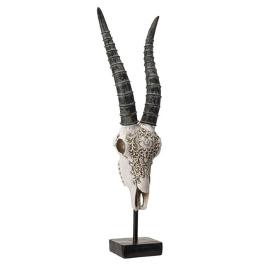 Carved African Gemsbok Decorative Skull