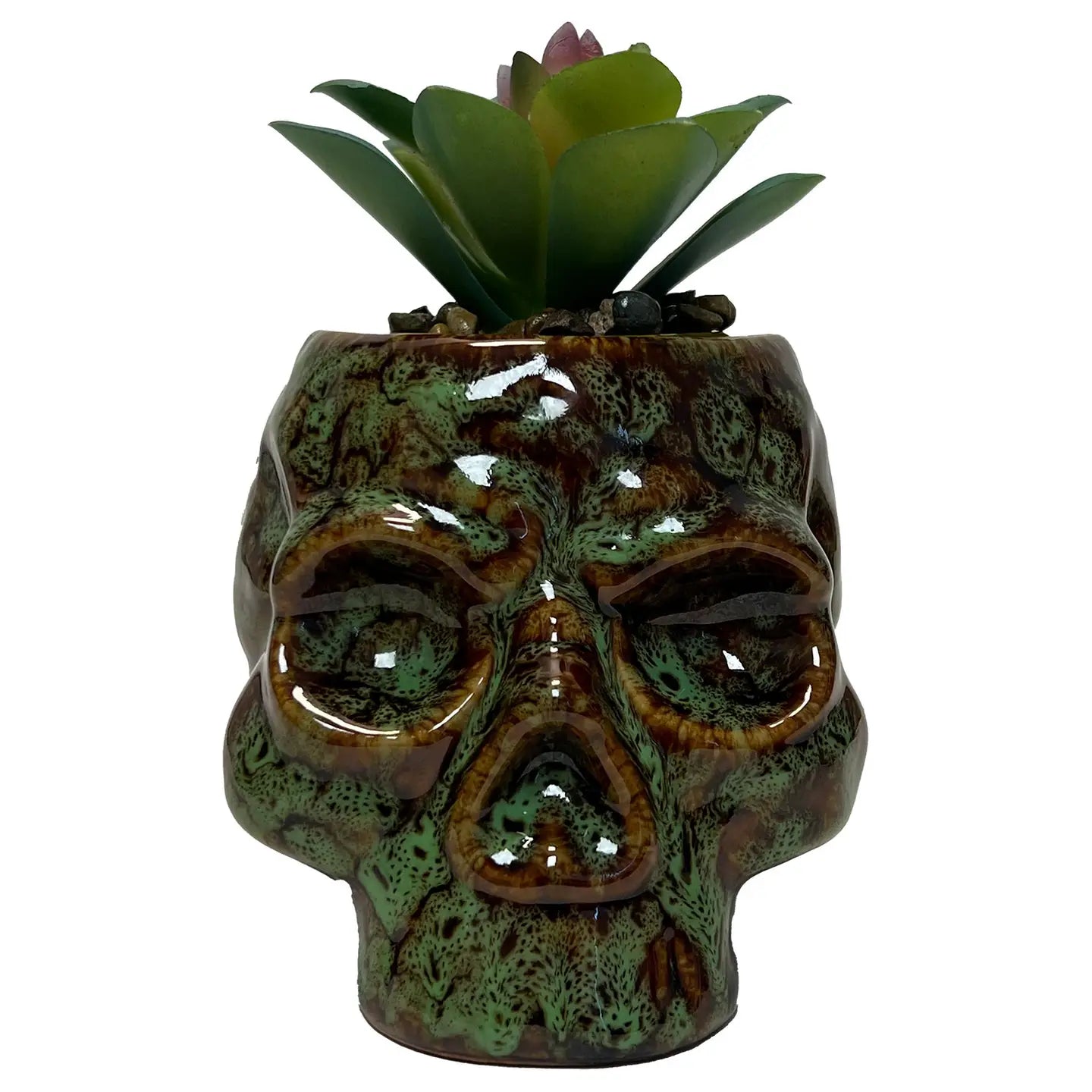 Skull Planter & Storage