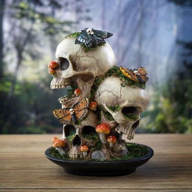 Decorative Skull with Dead Moths: A Stunning Cabinet of Curiosities Statement Piece