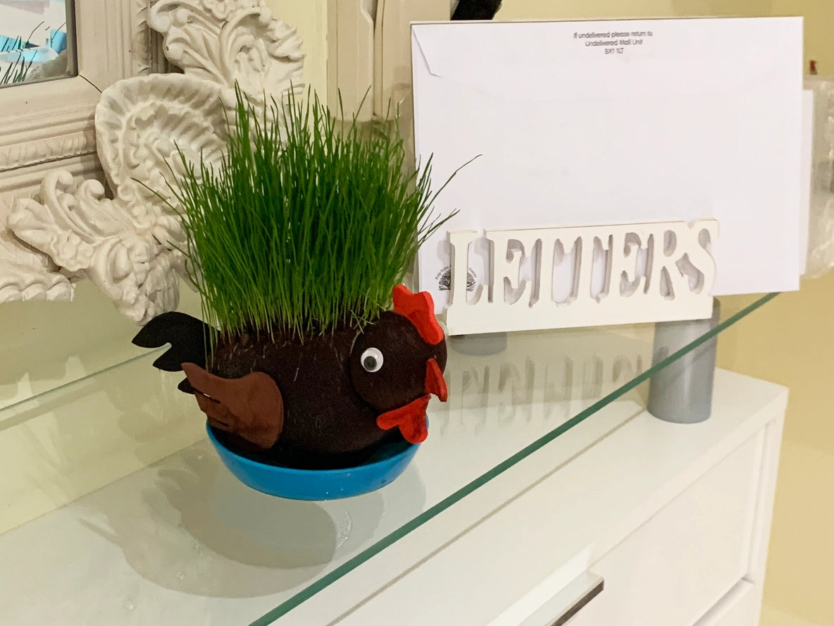 Grow Hairy Cock