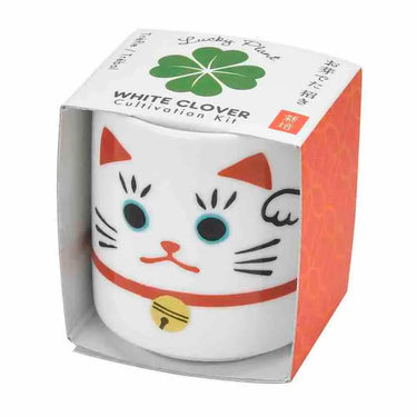 Lucky Cat Planter & White Clover: Grow Your Own Good Fortune