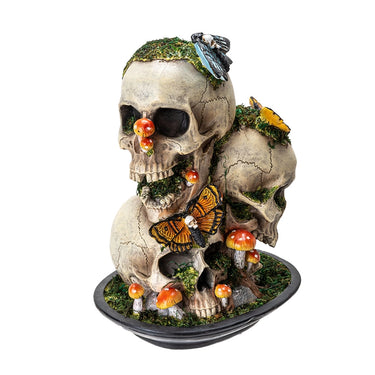 Decorative Skull with Dead Moths: A Stunning Cabinet of Curiosities Statement Piece