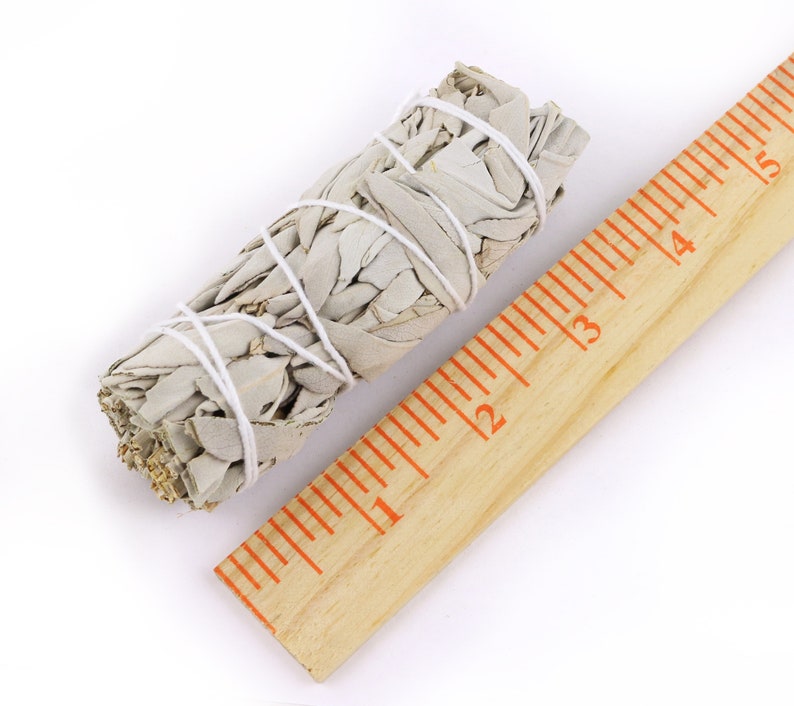 California White Sage Smudge Stick 4"