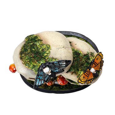 Decorative Skull with Dead Moths: A Stunning Cabinet of Curiosities Statement Piece
