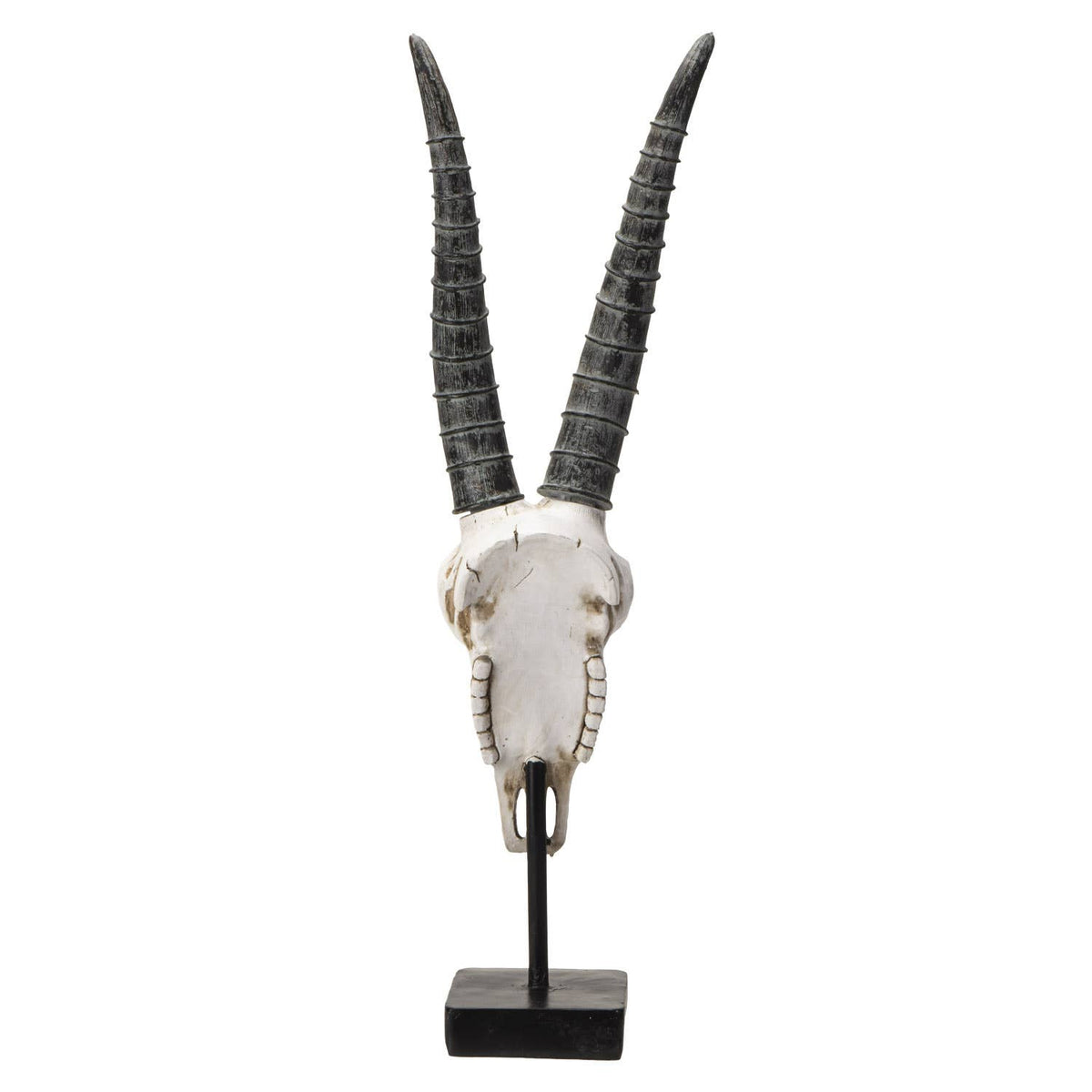 Carved African Gemsbok Decorative Skull