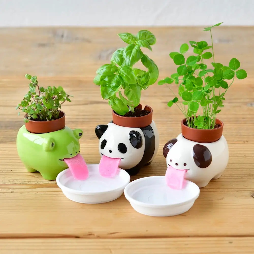 Peropon - Panda