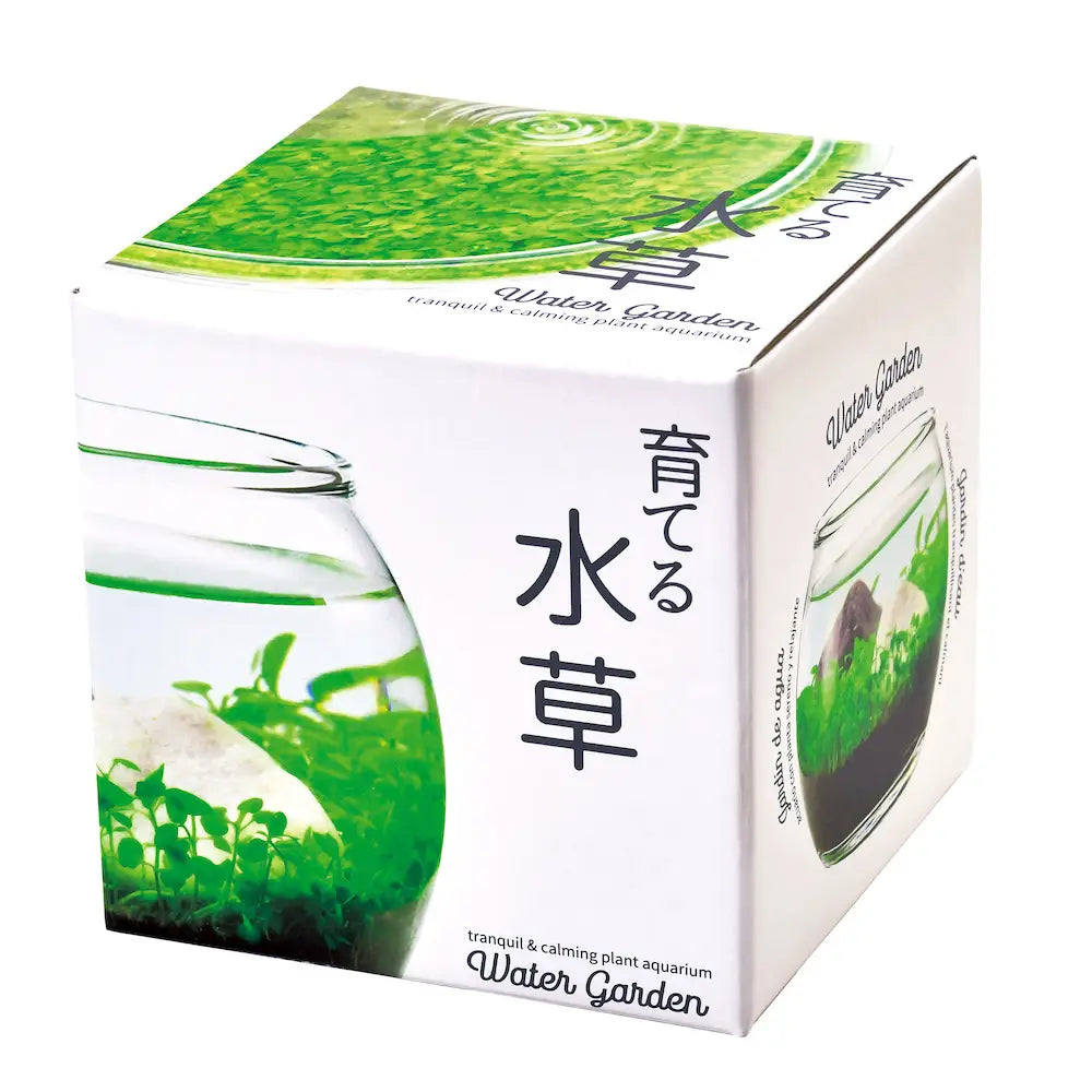 Water Garden Kit