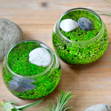 Water Garden Kit