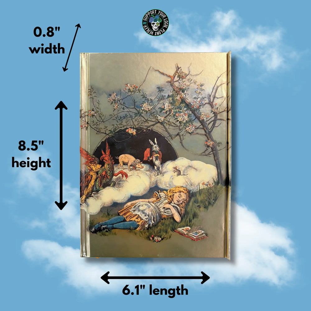 Alice in Wonderland Notebook | Embossed 3D Literary Journal  Ziya Blue