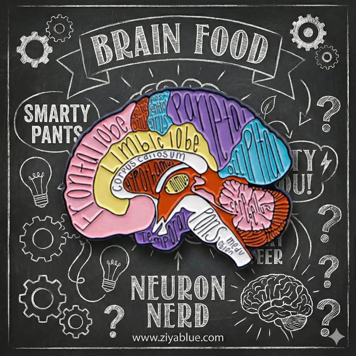Anatomy Brain Enamel Pin: Science Jewelry Ziya Blue Ziya Blue