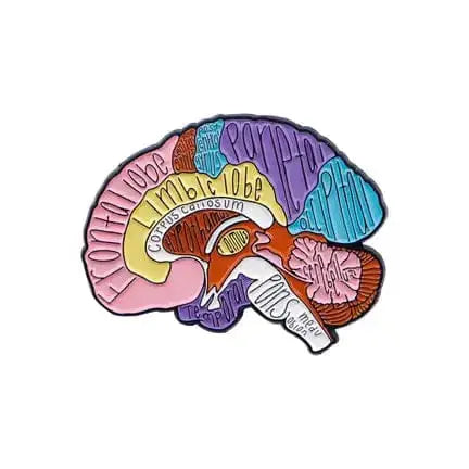 Anatomy Brain Enamel Pin: Science Jewelry Ziya Blue Ziya Blue