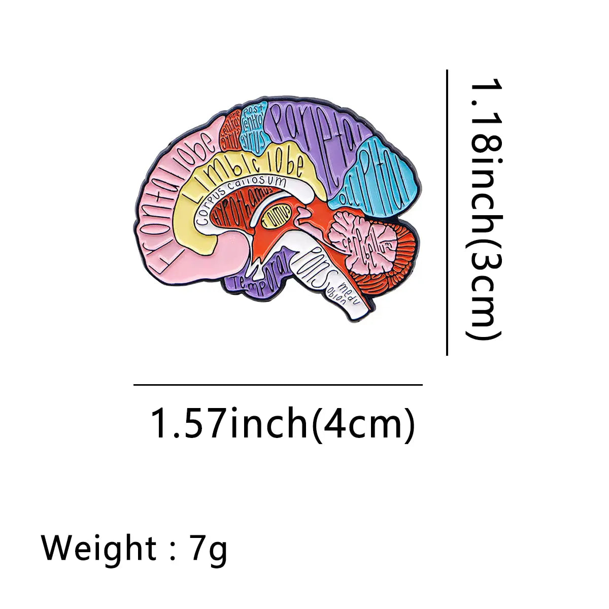Anatomy Brain Enamel Pin: Science Jewelry Ziya Blue Ziya Blue