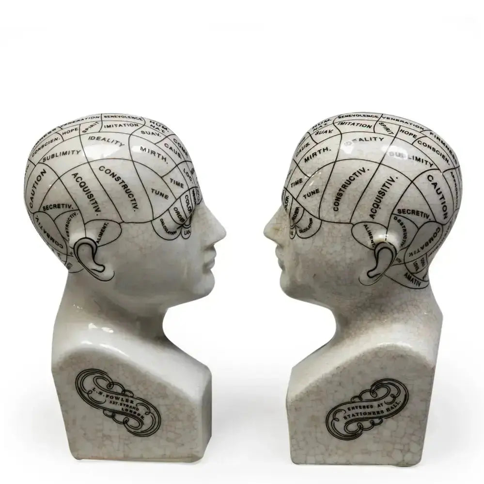 Antiqued Ceramic Phrenology Head Bookends: Vintage Decor McGowan & Rutherford Ltd Ziya Blue