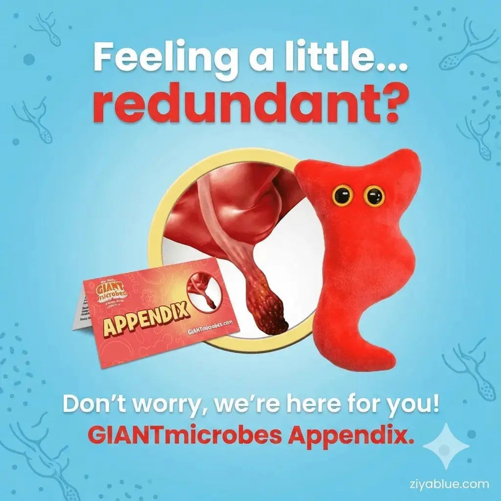 Appendix Plush – GIANTmicrobes Anatomically Accurate Anatomy Toy Giant Microbes Ziya Blue
