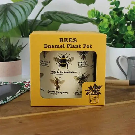 Bee Enamel Plant Pot - Buzz Into Plant Parenting Gift Republic Ziya Blue