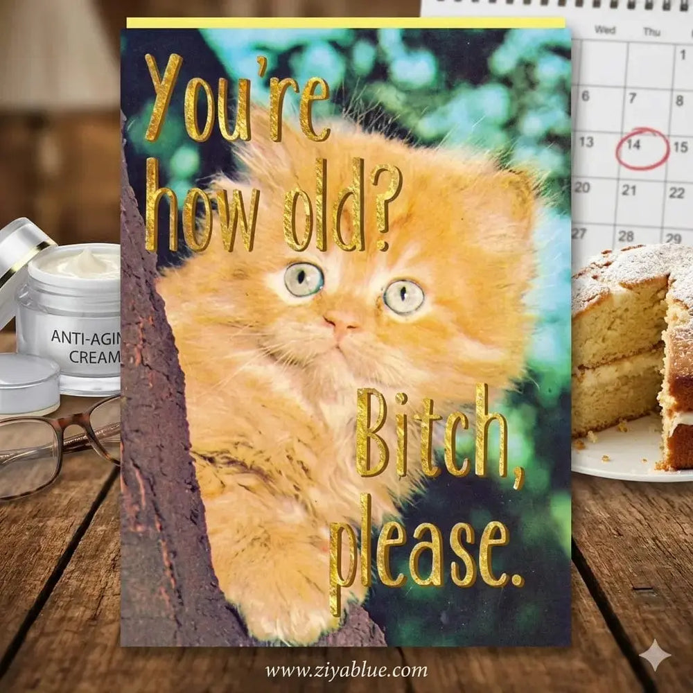 Bitch Please Birthday Card Smitten Kitten Ziya Blue