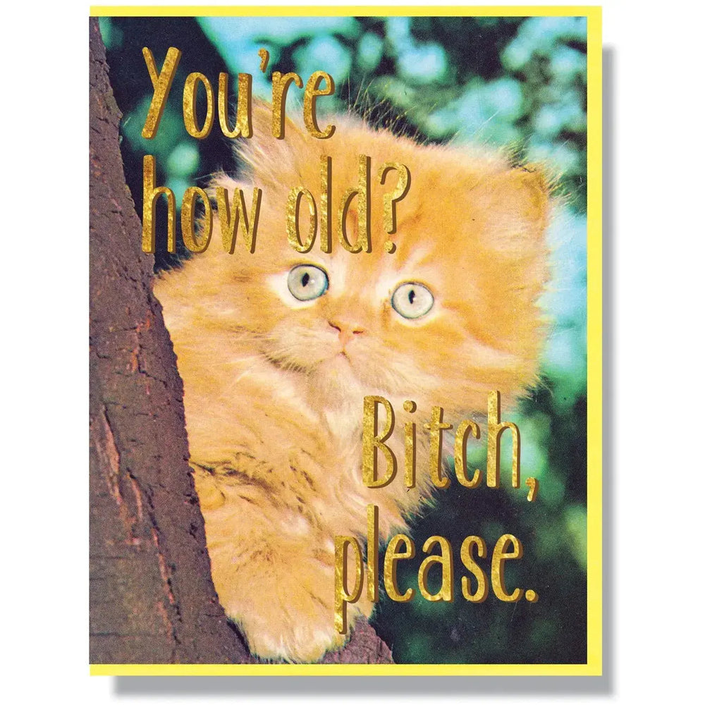 Bitch Please Birthday Card Smitten Kitten Ziya Blue