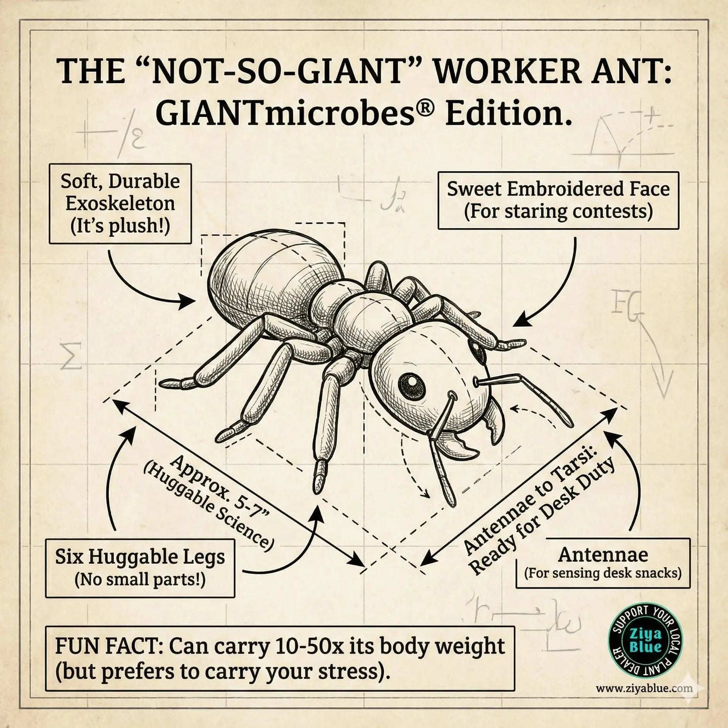 Black Ant Plush: GIANTmicrobes Tiny Worker 🐜🔬 Giant Microbes Ziya Blue