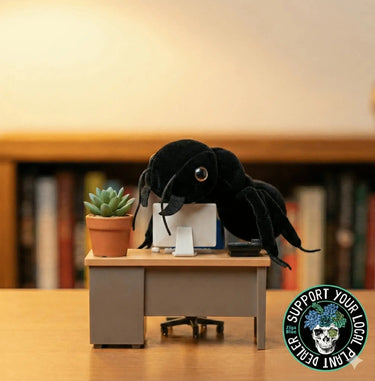 Black Ant Plush: GIANTmicrobes Tiny Worker 🐜🔬 Giant Microbes Ziya Blue