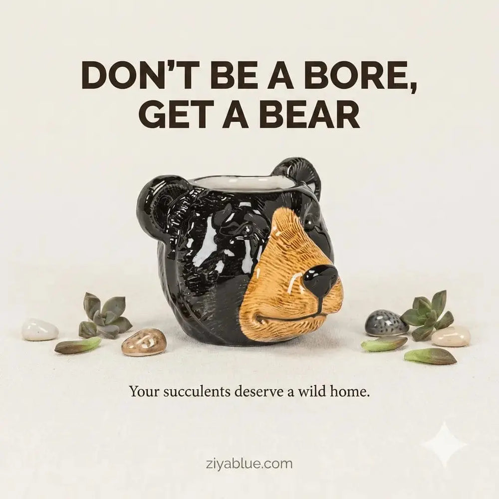 Black Bear Succulent Planter - 2.5" Mini Ceramic Pot Abbott Ziya Blue