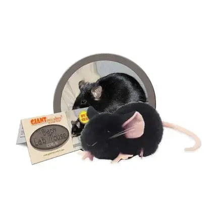 Black Lab Mouse Plush: Sleek Science Hero 🐭🔬 Giant Microbes Ziya Blue