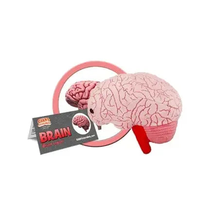 Brain Plush – GIANTmicrobes Neuroscience Toy Giant Microbes Ziya Blue