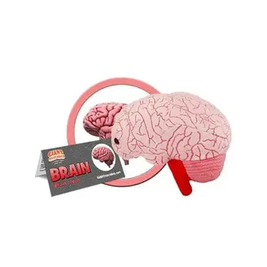 Brain Plush – GIANTmicrobes Neuroscience Toy Giant Microbes Ziya Blue