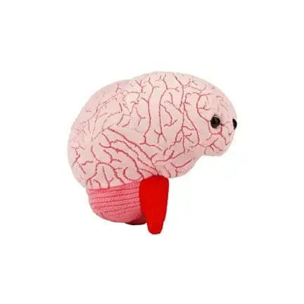 Brain Plush – GIANTmicrobes Neuroscience Toy Giant Microbes Ziya Blue