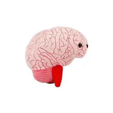 Brain Plush – GIANTmicrobes Neuroscience Toy Giant Microbes Ziya Blue